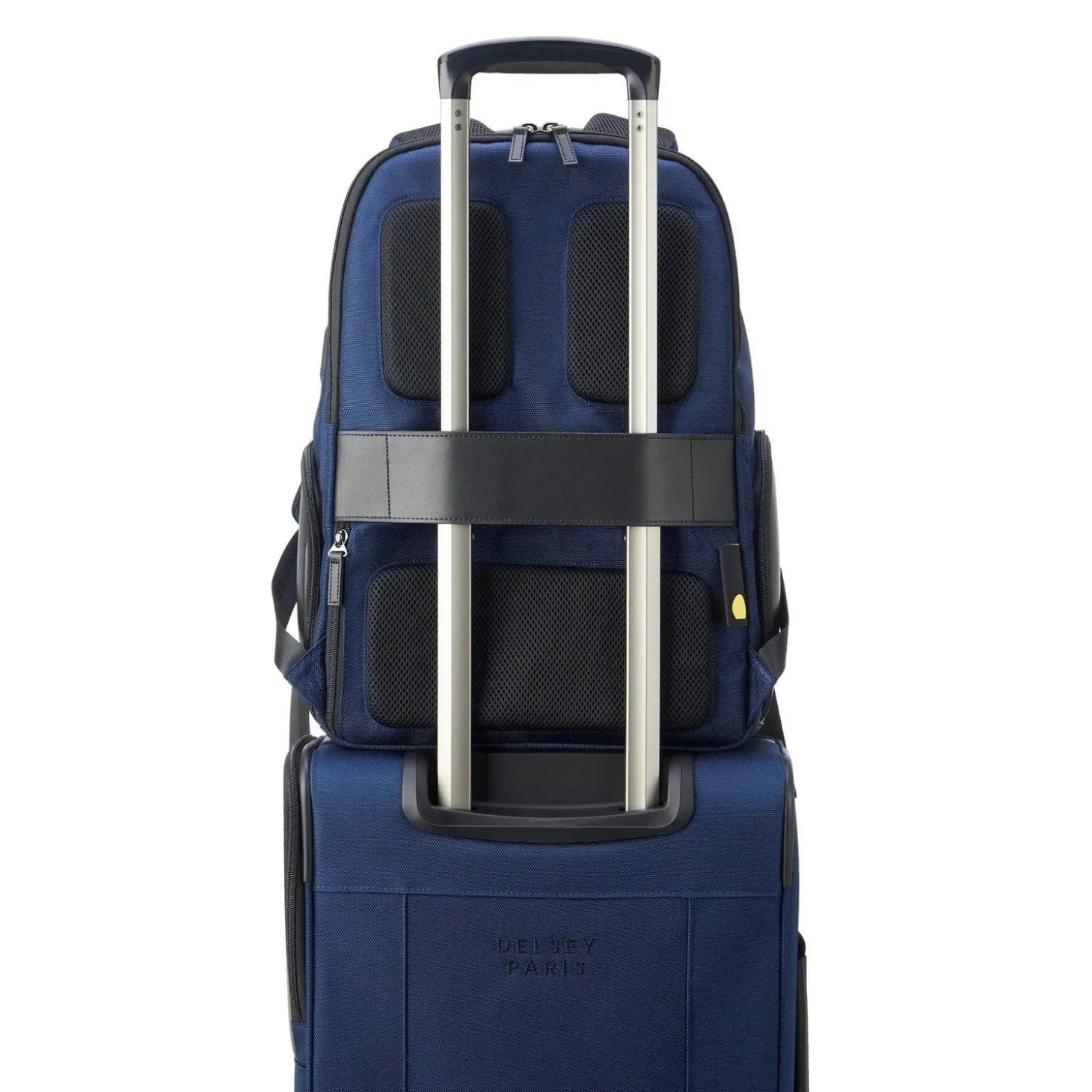 Delsey Wagram Laptop Backpack