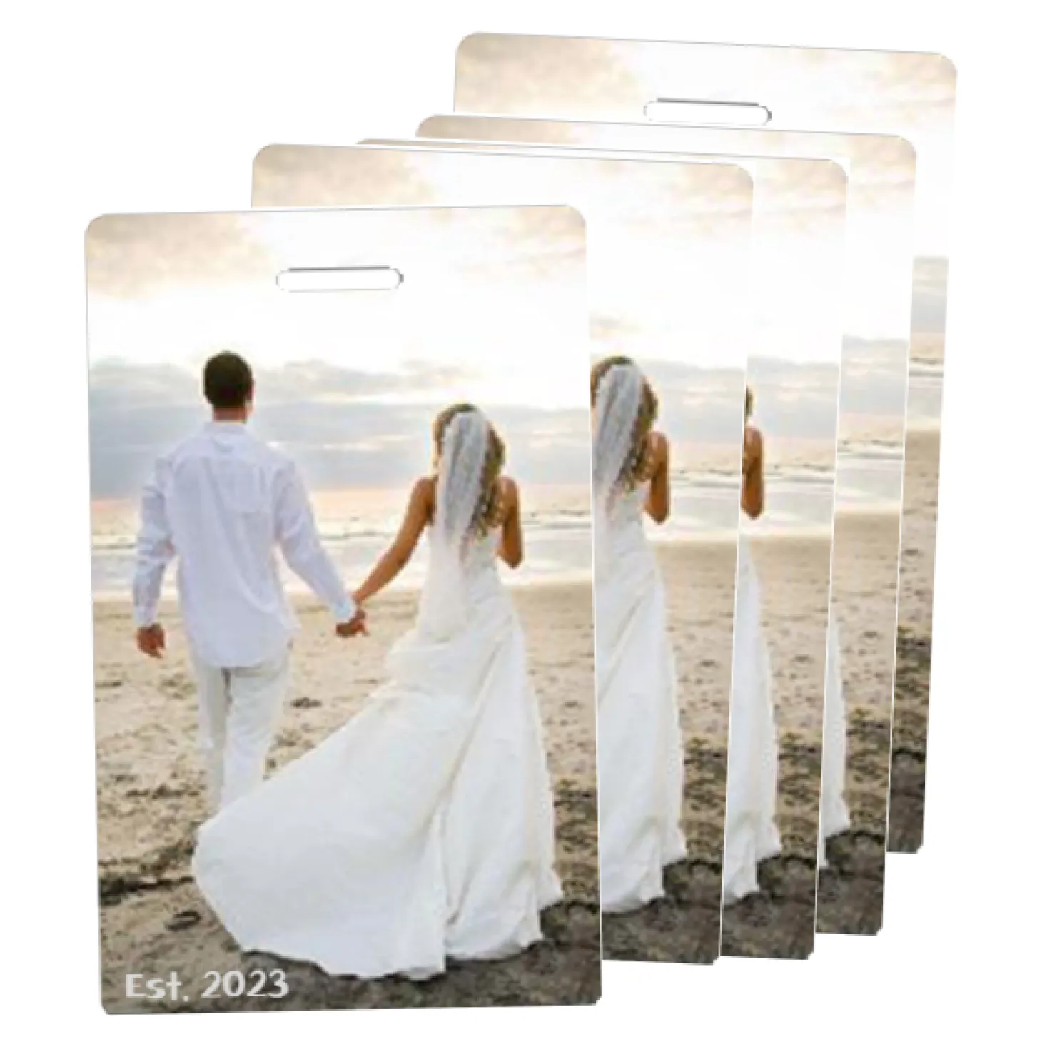 MyFly Personalized Luggage Tags - Only $2.25 each for 250 tags