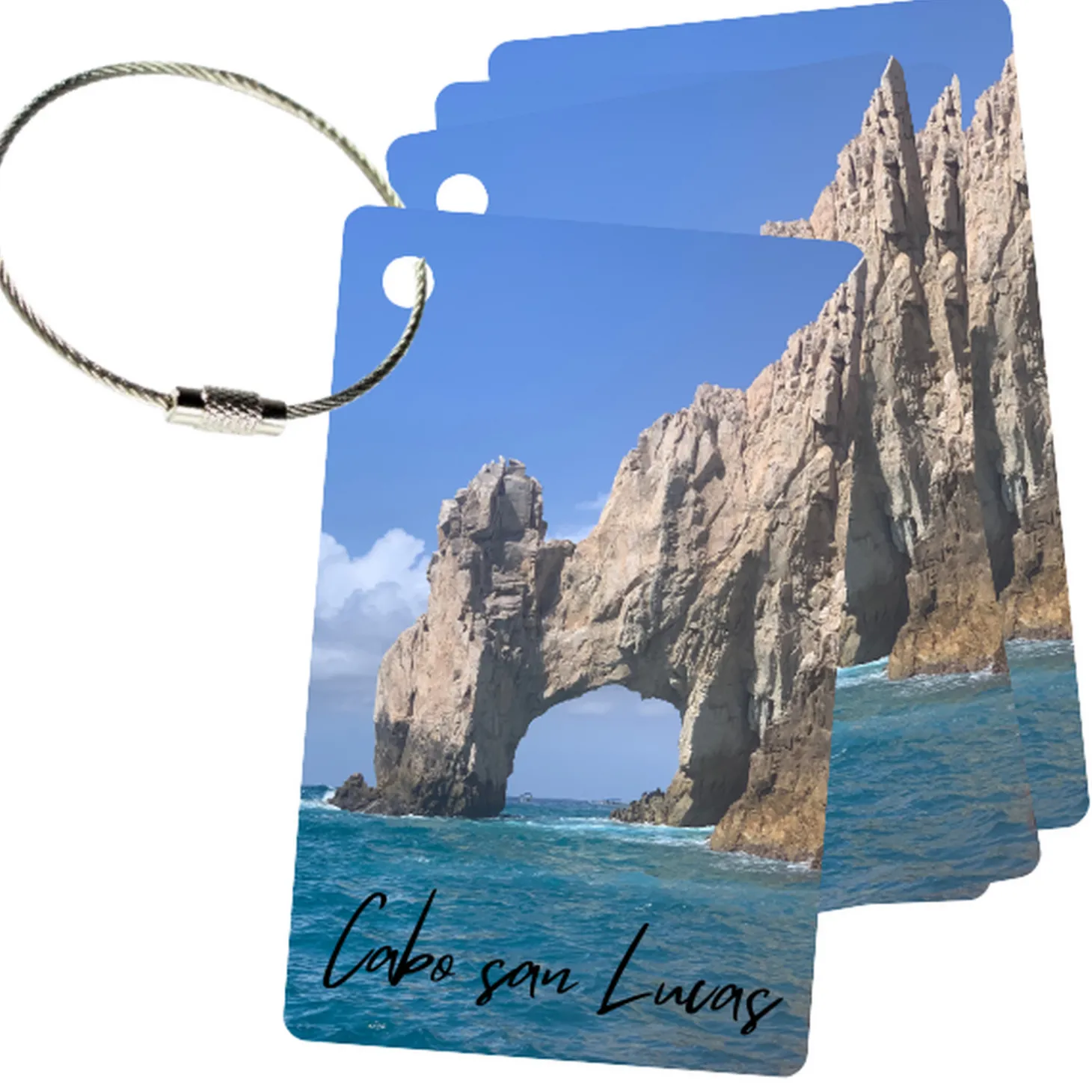 MyFly Personalized Luggage Tags with Metal Loop Upgrade - Only $3.59 each for 100 tags