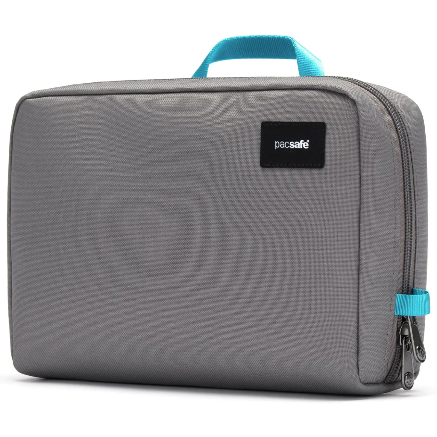 Pacsafe RFIDsafe Gear Pouch