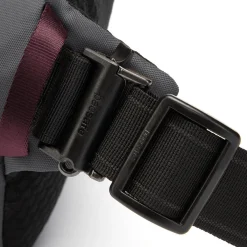 Pacsafe V Hip Pack