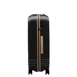Roam Luggage Hardside Check-In Spinner