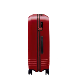 Roam Luggage Hardside Check-In Spinner