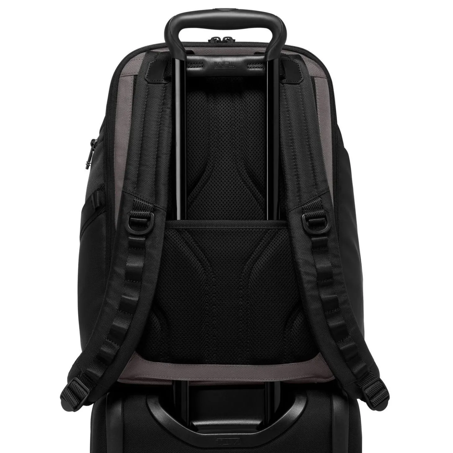 TUMI Alpha Bravo Search Backpack