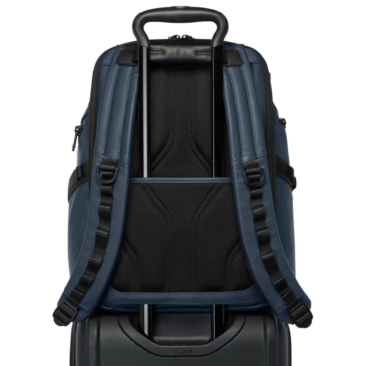 TUMI Alpha Bravo Search Backpack